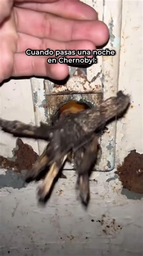 A Night in Chernobyl #shorts #memes #funny #humor #funnyshorts #funnyvideos