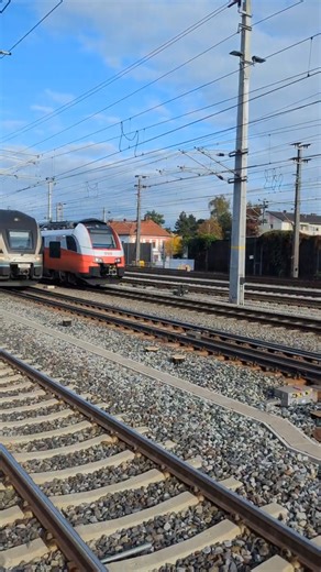 Siemens KISSing @ crossover! #linz #obb #austria #train #westbahn #bahn #stadler