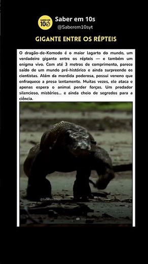 Dragão de komodo o lagarto gigante #curiosidades