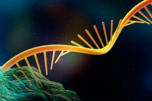 Genetic diseases and RNA metabolism