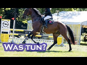 TIPS for strong horses before & after the JUMP