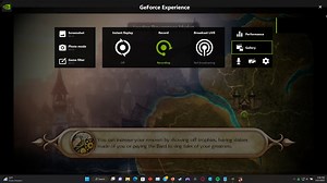 Texture flickering in Fable 2 when upscaling to 2/4k