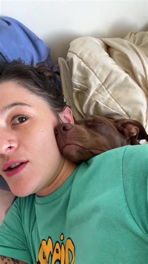 Cachorro com excesso de felicidade e sono