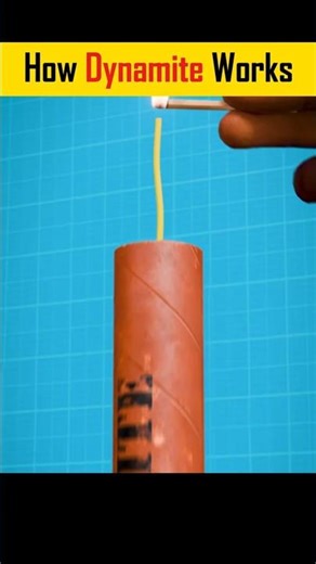 How Dynamite works #facts #amezingfact #coolfact