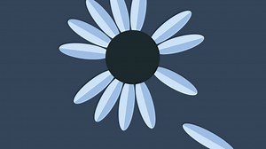 Yonder Mountain String Band Announces New Album