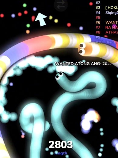 random slither.io kills compilation #4