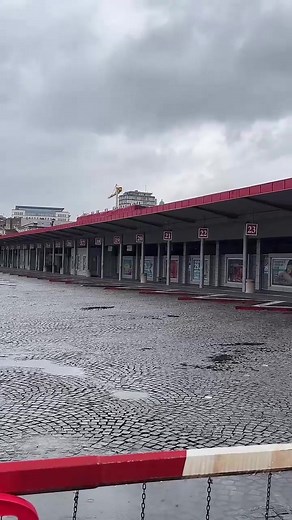 Stara BAS Stanica in Beograd - Explore Llama and More