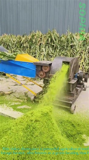 Satisfying Forage Processing:Grass Beating Machine in Action