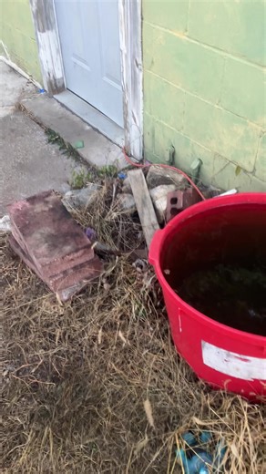 Doh (@doh4014)’s videos with original sound - Doh