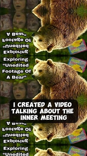 Exploring Adult Swim “Unedited Footage Of A Bear”