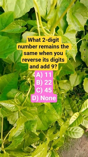 What 2-digit number remains the same when you reverse its digits and add 9?