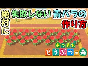 【あつ森】絶対に失敗しない青バラの作り方 ～効率の良い花の置き方～【あつまれどうぶつの森】