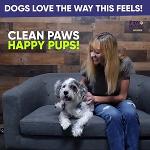 4.2K views · 60 reactions | The gentle and effective way to make muddy paw prints a thing of the past!  PawBuddy is portable and easy to use, making it so you can clean almost anywhere!  | The Boot Buddy | Facebook