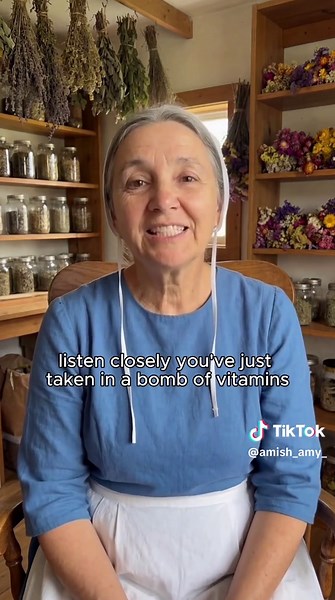 Amish remedies 🌱 | amish