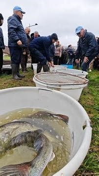 Un an après la catastrophe, les poissons retrouvent le canal du Loing