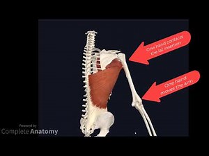 Osteopathic Treatment Technique : Case Study - Persistant low back pain