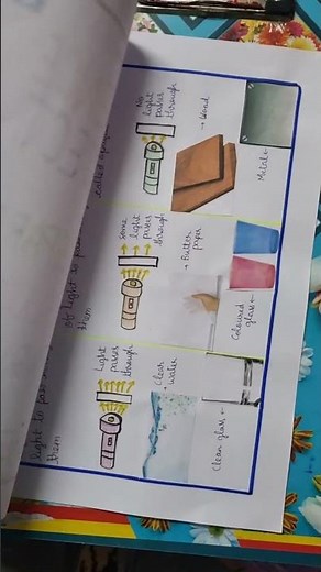 Science Project- Transparent, Translucent, Opaque objects