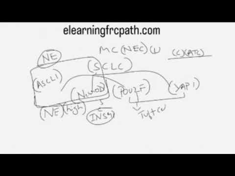 Mixed Pathology Concepts Explained Whiteboard Discussion by Dr Akshay Bali FRCPath Faculty