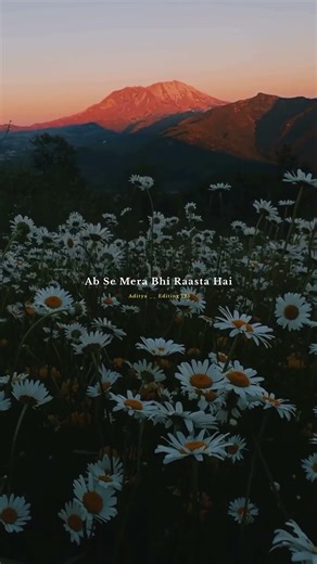 Sitare |✨#Arijitsingh 💫🥀❤️‍🩹 #status #whatsappstatus #shorts #song