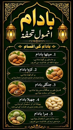 Almonds Benefits: Why You Should Eat Almonds Every Day? 🥜 | Health Benefits of Almonds