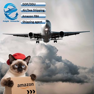 [Hot Item] Best Customs Tax/Duty Deals DDP/DDU Air Shipping From China to USA, UK, Germany, France