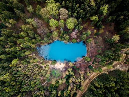 The world's weirdest lakes – including one that vanishes and one that contains a fluid that's not water... | Discover Wildlife