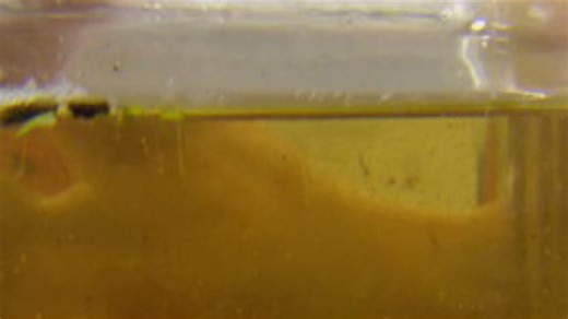 Metropolitan Mosquito Control District predicting slow spring and a surge around 4th of July