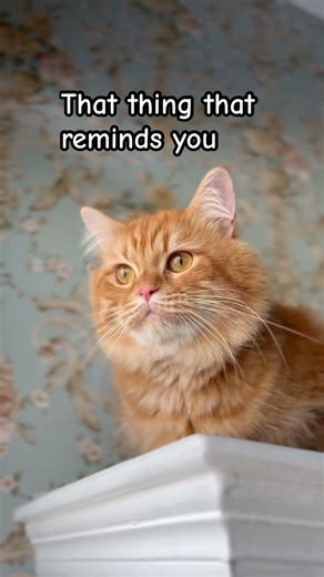 Throw it out da window 🪟 #pawsn #poshpaws #awesomepawsome #funnyanimal #lifeisbutadream #puppyface