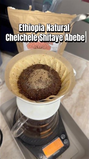 Saturday 🌸 Ethiopia Natural Light Roasted on Sunday 3/22/26 #coffee #コーヒー #pourover