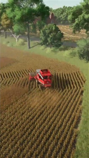 Sorghum harvest | Farming Simulator 25