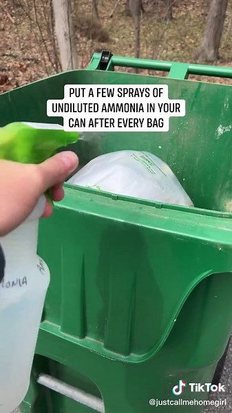 Inexpensive Trick to Deter Bears from Garbage
