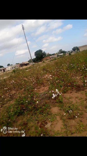 Birchenough Bridge Stories in Pictures on Reels
