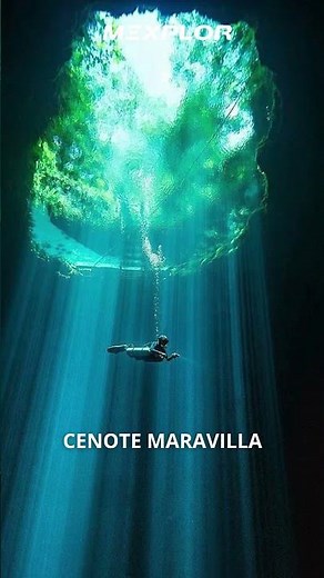 Swim in the magical cenotes of the Mexican Caribbean 💧
