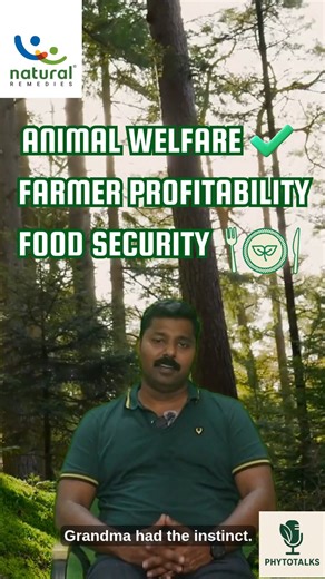 Remember the remedies from your childhood — honey for coughs, Tulsi tea for colds, turmeric milk for fever? What if we told you those age-old herbs are packed with phyto actives — nature’s own guardians that boost immunity and accelerate recovery? At Natural Remedies, we combine traditional knowledge with modern science to create scientifically validated, safe, and effective solutions for poultry, swine, and aqua — supporting animal welfare, farmer profitability, and sustainable food production.