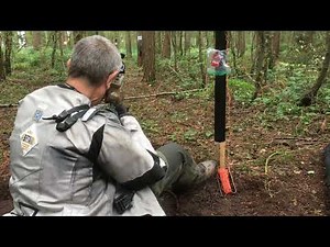 Field Target - World Championships 2019 - Day 3