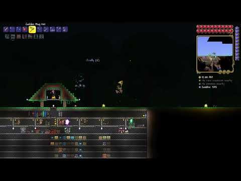 Sometimes you can get MANY Fireflies in a night so make sure you have the bug net ready in Terraria