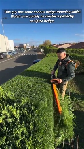 Professional Landscaping Skills.