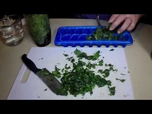 How to Preserve Fresh Basil in Ice Cubes