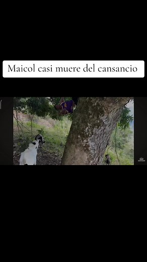 Videos de user08167851096 (@el.pepeoficial1) con “sonido original - user08167851096”