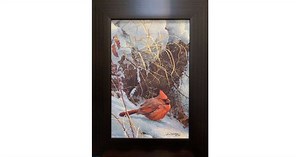 Winter Cardinal Art | Robert Bateman (framed)