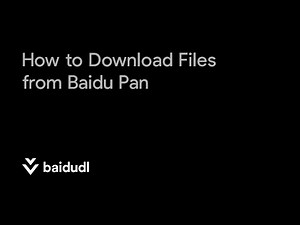 How to Download Files from Baidu Pan | BAIDUDL