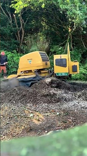 Vermeer SC70TX remote control stump grinder #stumpgrinder #treecutting #gardening