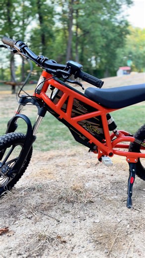 Ma draisienne électrique RS Factory BUZ-E 500 en détail ! ⚡