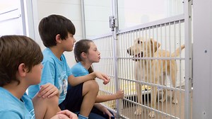 Last day for free pet adoptions at Arizona Humane Society