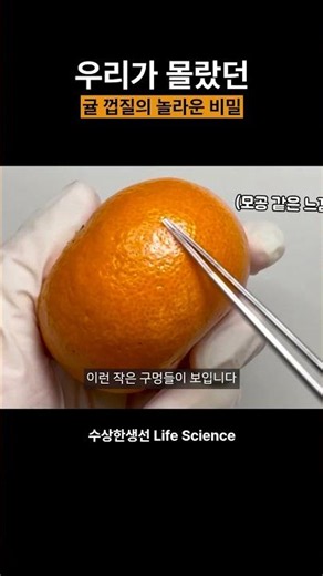 The Surprising Secrets of Tangerine Peels We Never Knew