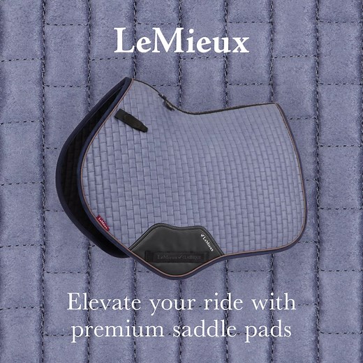 Shop the wide range of LeMieux Saddle Pads, providing high quality technical features and ultimate comfort for horse and rider. | LeMieux