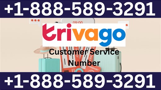 21+ Ways to Access Trivago® Customer Service By Phone, chat and Support 24/7