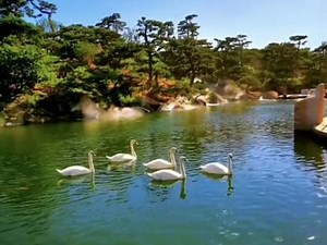 QLWLLC在抖音记录美好生活20250508