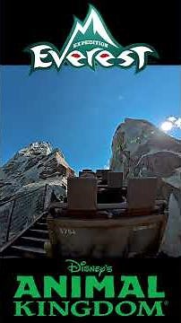 Expedition Everest at Disney's Animal Kingdom