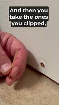 Fix a Stripped Screw Hole Using Toothpicks, In Under 2 Minutes!